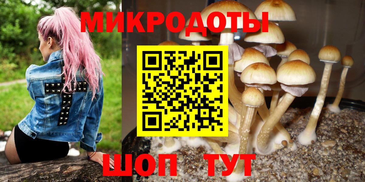 Реутов  Псилоцибиновые грибы GOLDEN TEACHER  Вход с VPN 